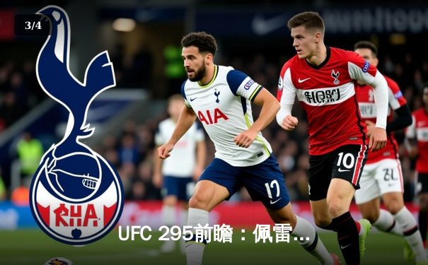 UFC 295前瞻：佩雷拉卫冕战对阵希尔，轻重冠军统一战引爆纽约 - 3