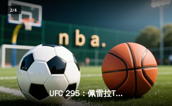 UFC 295：佩雷拉TKO终结普罗哈兹卡，比赛数据与精彩瞬间回顾 - 2