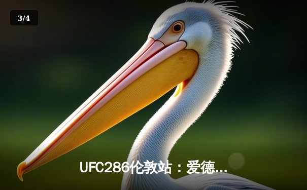 UFC286伦敦站：爱德华兹险胜乌斯曼成功卫冕，中国新星苏木达尔基TKO惊艳亮相 - 3