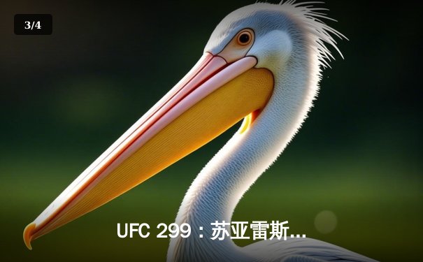 UFC 299：苏亚雷斯TKO终结安德拉德，中国新星李凯文血战憾负 - 3