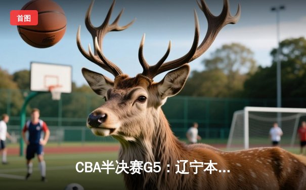 CBA半决赛G5：辽宁本钢加时险胜广东宏远 赵继伟33分率队挺进总决赛
